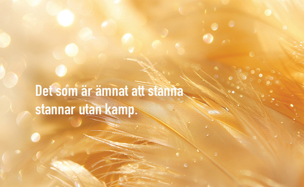 Gyllene reflektioner