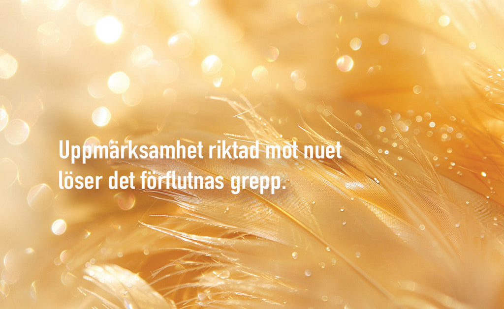 Gyllene reflektioner