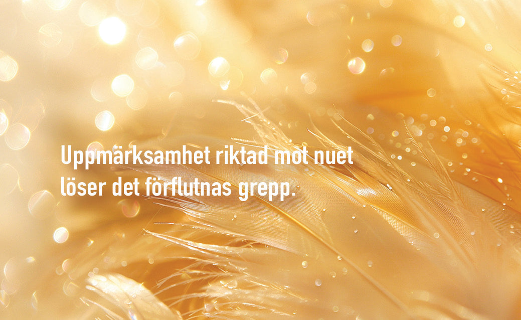 Gyllene reflektioner