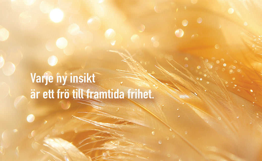 Gyllene reflektioner