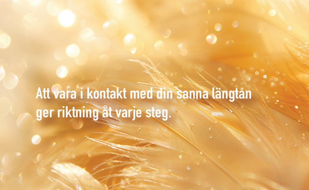 Gyllene reflektioner