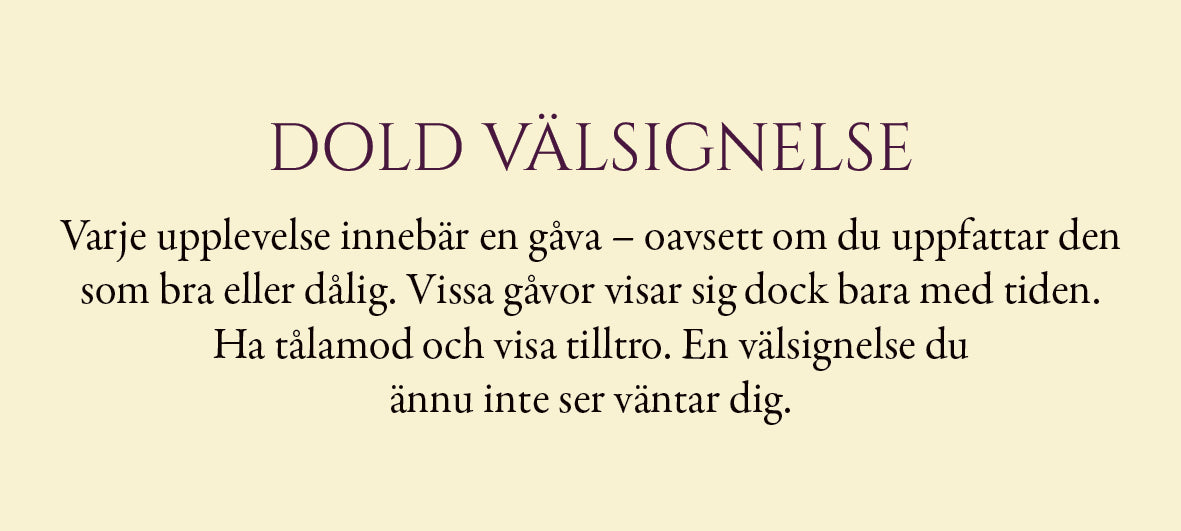 Evigt ljus - 55 vägledningskort för allt du är