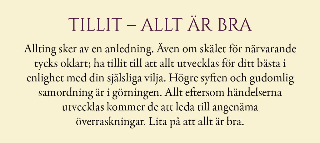 Evigt ljus - 55 vägledningskort för allt du är