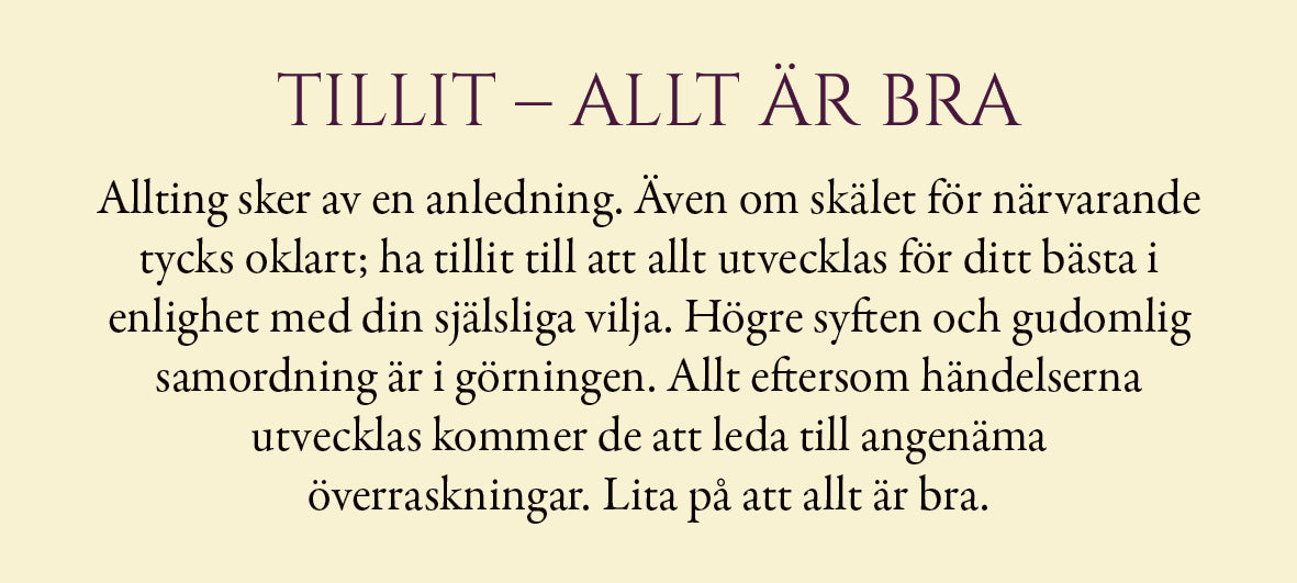 Evigt ljus - 55 vägledningskort för allt du är