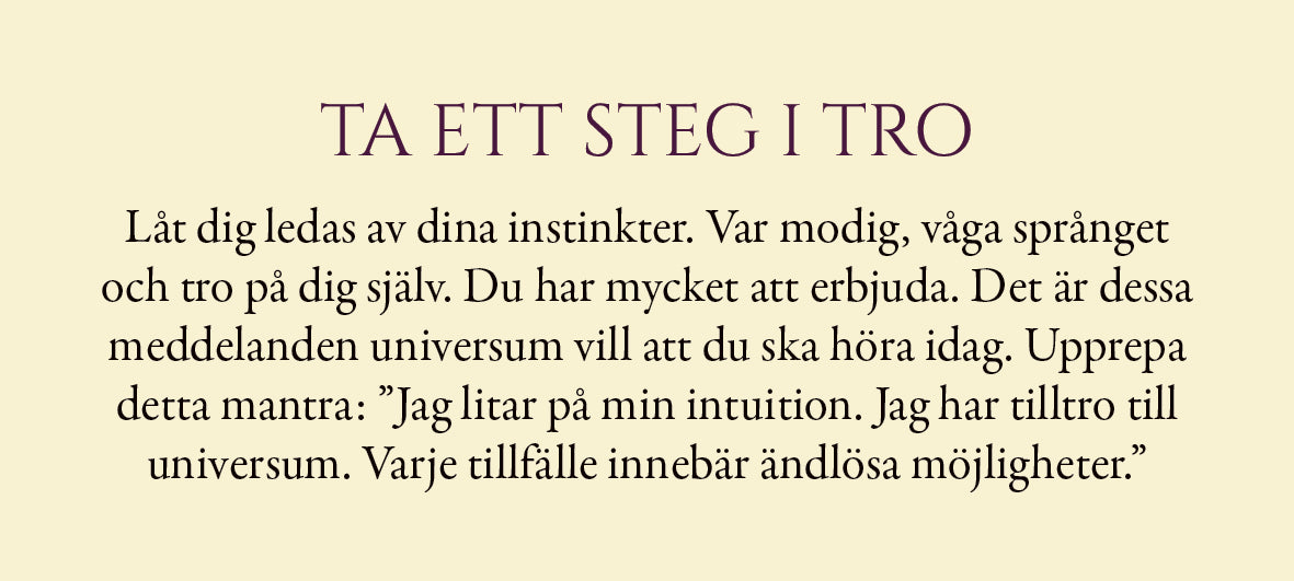 Evigt ljus - 55 vägledningskort för allt du är